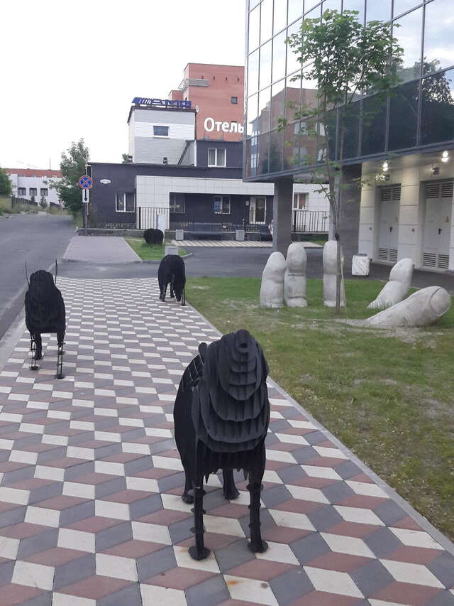 Гостиница Центральный Петрозаводск-15